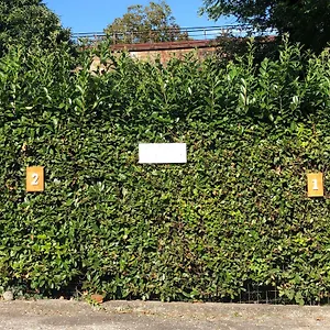 Casa Nonna Elide Besozzo